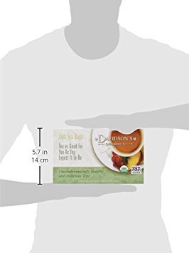Davidson's Organics, Herbal Pumpkin Spice, 100-count Unwrapped Tea Bags
