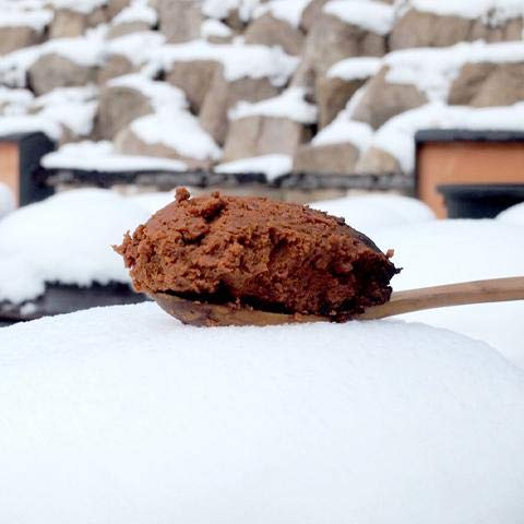 Doenjang Korean Soybean Paste (Jookjangyeon) 500g | 죽장연 전통된장