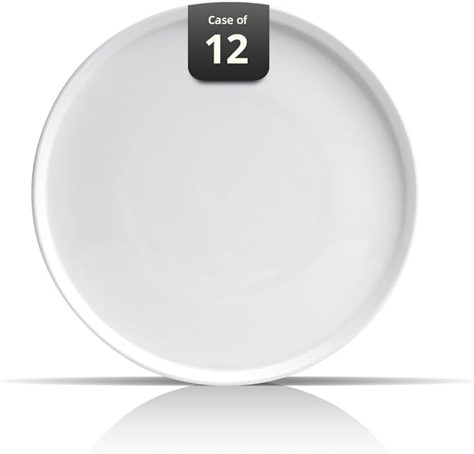 Bone China Cone Shape Commericial Grade Dinnerware Plate 10.5inch, Case of 12