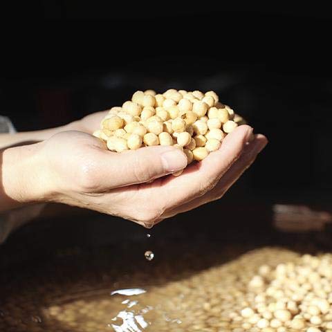 Doenjang Korean Soybean Paste (Jookjangyeon) 500g | 죽장연 전통된장