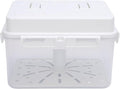 Kimchi Fermentation Container, Airtight Fermentation Jar Clear Pickle Kimchi Press Ferment Storage Container for Home Kitchen (5L)