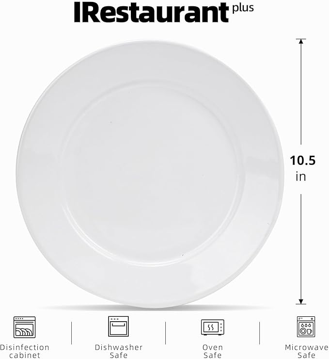 Wide Rim Bone China Commercial Grade Restaurant Plate, Elegance White Plate 10.5", Case of 12