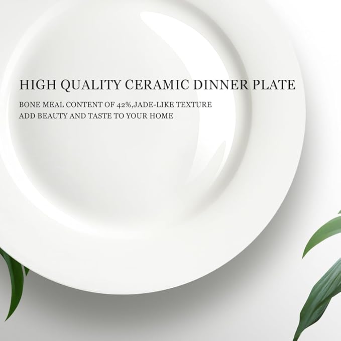 IQCWOOD 6.5 Inch Fine Bone China Plates 6-Piece, Flate Dessert Salad Appetizer Plate, Fine Glaze With Pure White Color, Thin Thickness and Light Weight, Microwave and Dishwasher Safe