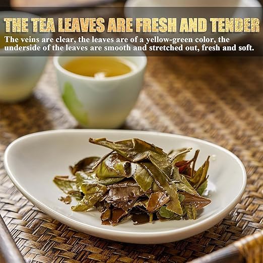 White Tea, 2022 Harvest Organic White Tea Gift Box, 36 Individually Wrapped Teabags (5g Each) – 820g Elegant Packaging, Fuzheng Hao Premium Compressed Tea Cake for Daily & Holiday Gifting