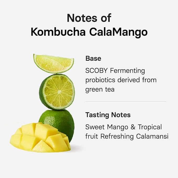 OSULLOC Kombucha Tea Calamango (Calamansi & Mango Blending), Sparkling Powdered Mix Beverage, No added sugar, 10 Sticks, 1.76oz