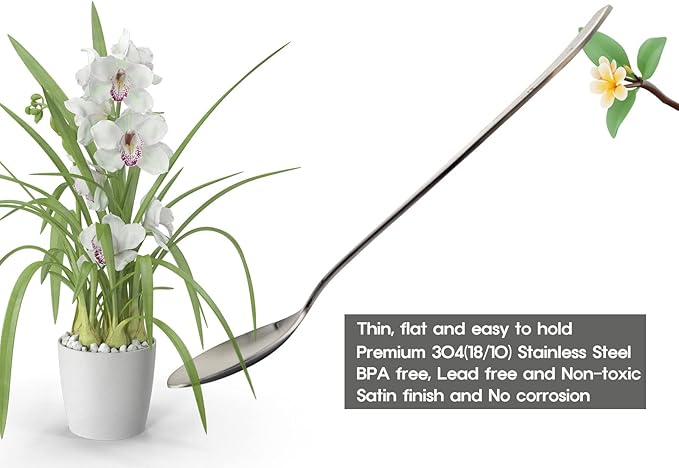 [1 Set] [Made in Korea] Orchid Design Korean Style Sticky Rice Spoon Chopsticks Set Silverware Set 304 Stainless Steel Cutlery Set Soup Spoon Ramen Chopsticks Flatware (1 Set)