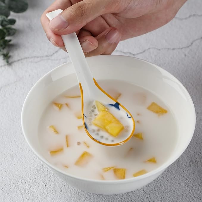 Soup Spoon Set of 4 Ceramic Chinese Soup Spoons Ramen Spoons for Pho Noodle Cereal Dumpling