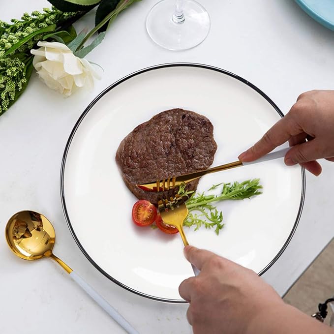 10 Inch Porcelain Dinner Plates, Elegant White with Black Edges Design, Classic Round Serving Plates Set for Steak, Pasta, and Salad, Set of 6