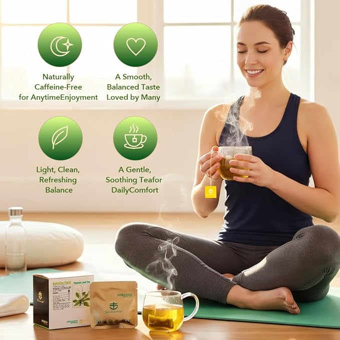 Soilmount - Plantain Leaf Tea - |Plantago Major|cheqiancao|车前草/질경이| - Pure Herbal Tea - Natural, Organic, Non-GMO, Clean Ingredients, Caffeine Free (18 Tea Bags, Box 1)