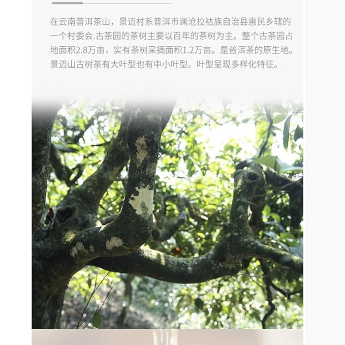 Pu-erh tea,2016,景邁 Jingmai,357g.Raw
