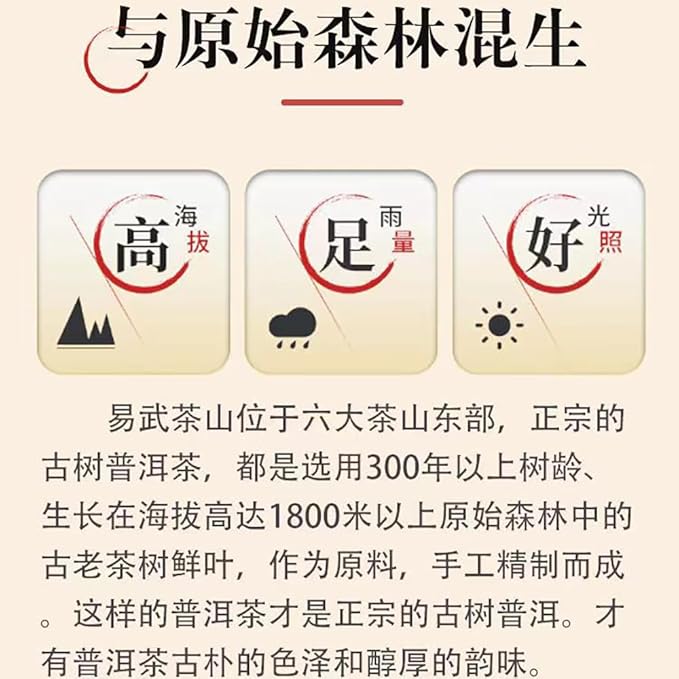 Pu-Erh tea,2016,SHENG JIA YUAN,Yi Wu,357g,Ripe