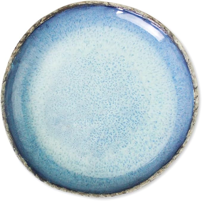 roro Rustic Coral Handmade Ceramic Stoneware Dinner Plates and Bowls, Reactive Blue Set of 2, Textured Finish (Coral, Dinner Plate)