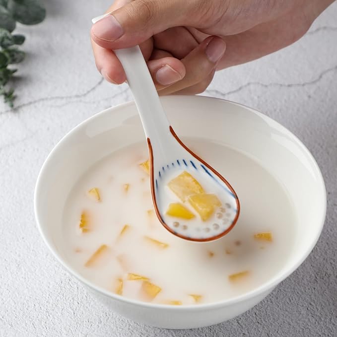 Chinese Soup Spoons Set of 4 Korean Spoons Porcelain Ramen Spoons for Pho Noodle Cereal Dumpling