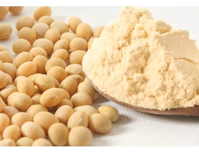 ROM AMERICA Dried Fermented Soy Bean Powder Mejugaru Soybean Flour for Korean Homemade Soy Bean Paste and Chili Paste - Gochujang, Doenjang, Ssamjang 메주가루 - 1 Pound (Pack of 1)