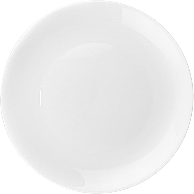 Foraineam 6 Pieces Porcelain Dinner Plates Approximate 10 Inch Round Salad Plate White Dinnerware Dish Catering Serving Plates