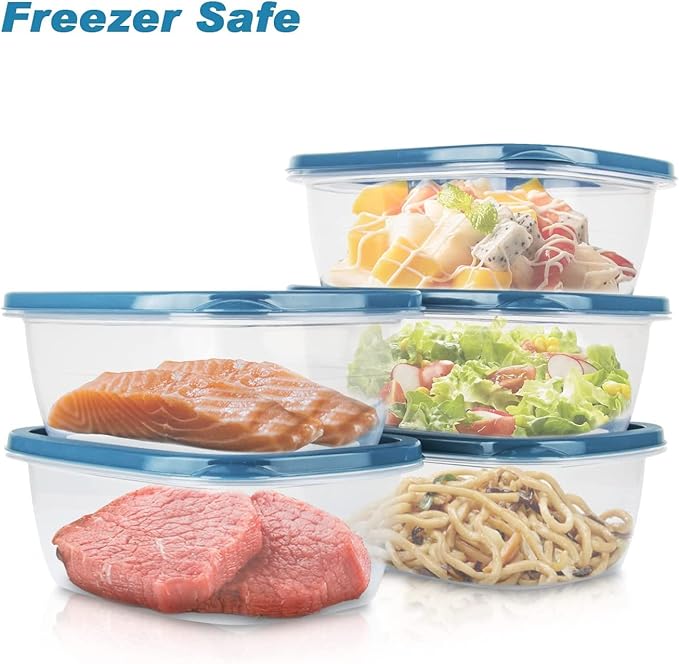 PEDECO 20PCS Rectangle Plastic Portion Box Sets with Lids.Food Storage Box,Container Sets,Food Storage,Food Containers,Plastic Container,use for School,Work and Travel,0.53 Quarts Per Box.