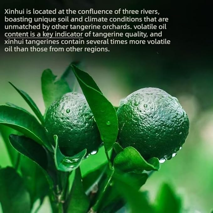 Xinhui Little Green Mandarin Pu-erh Tea 250 g, Whole Cut Dried Citrus with Yunnan Aged Ripe Pu-erh | Smooth Taste, Rich Aroma, Traditional Craftsmanship | for Daily Relaxation & Gifting