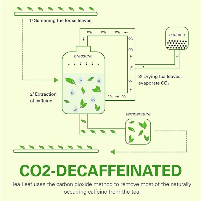 WT WEETEE Organic Decaf Green Tea Loose Leaf, 110+ Cups, Made of CO2-Decaffeinated Green Tea Leaves, Naturally Sweet, Smooth and Refreshing, 228g /8oz