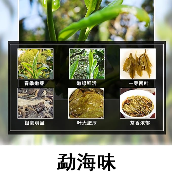 Pu-erh tea,2015,早春茶 early spring tea,357g,Raw