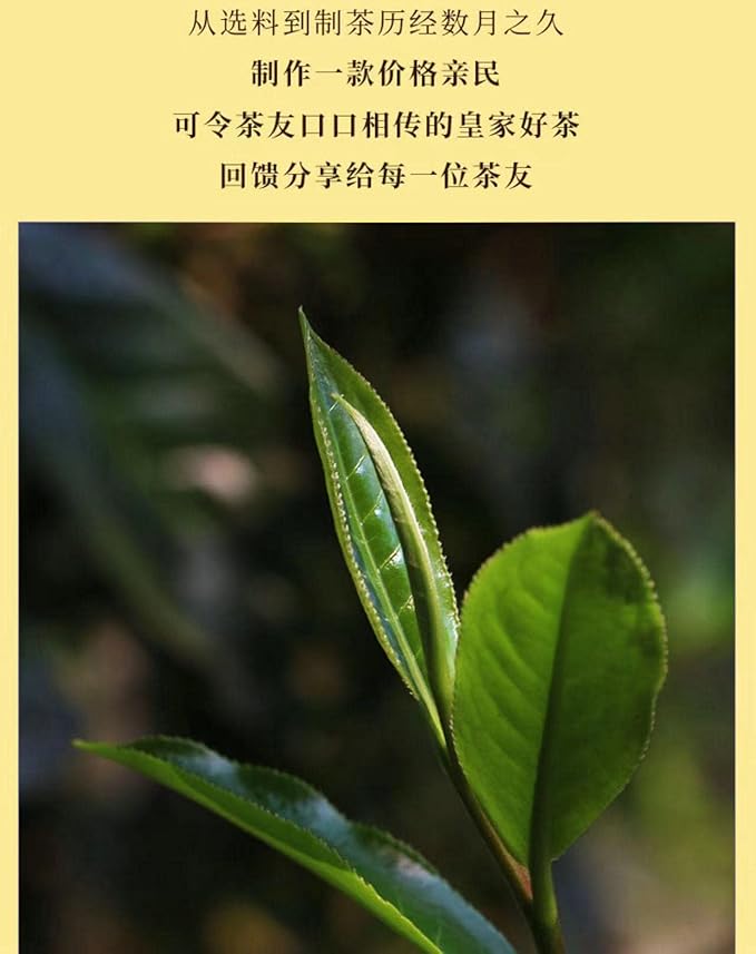 Pu-Erh tea,2020,SHENG JIA YUAN,困鹿山 Sleepy Deer Mountain,357g,Raw