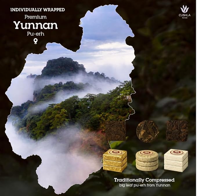 Early Spring Arbor Raw Pu-Erh Tea – Premium Sheng Pu’er Rounds from Early Harvest Leaves | Bright, Floral, Complex Chinese Raw Puerh | 20 Compressed Tea Rounds