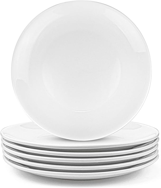 Foraineam 6 Pieces Porcelain Dinner Plates Approximate 10 Inch Round Salad Plate White Dinnerware Dish Catering Serving Plates