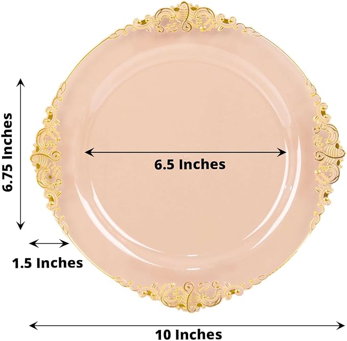 Efavormart 10 Pack | 10" Translucent Blush and Gold Baroque Dinner Plates, Leaf Embossed Metallic Rim Shatterproof Serving Plates for Romantic Receptions