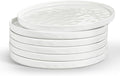 LIANYU Dinner Plates Set of 6, 10.2 Inch Large Ceramic Dessert Plate for Kitchen, Porcelain Serving Dishes for Salad Appetizer Cake Bread, Scratch Resistant, Microwave & Dishwasher Safe, Polar White