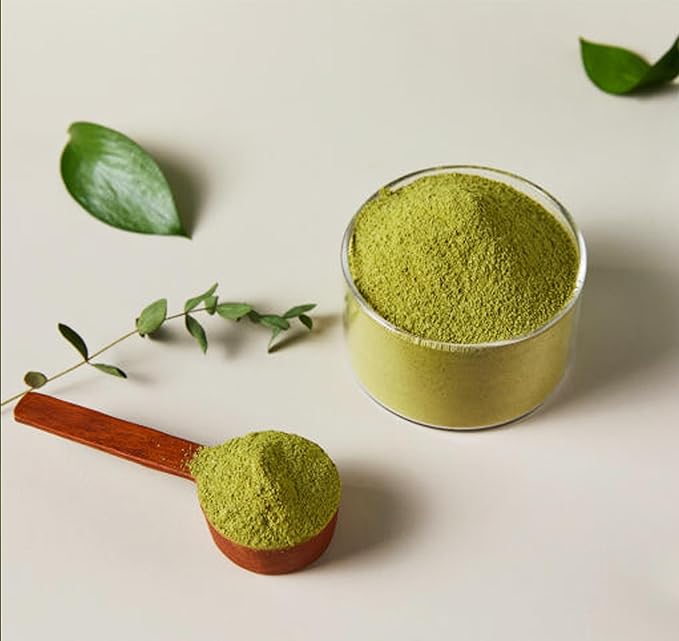 Korean Jeju Matcha Powder Tea, Premium Matcha Blend, Reusuable Zipper Bag - 500g (17.6 oz)