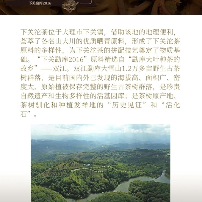 Pu-erh tea,2016,勐庫 Mengku,357g,Raw