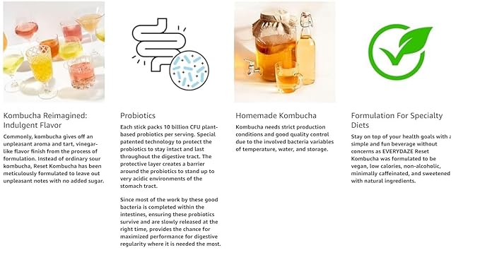 Everydaze Reset Kombucha Tea Powdered Beverage Mix | 10 Sticks | Prebiotics + Probiotics | Vegan | No Added Sugar, Gluten Free, Sparkling Powder Drink Pack (Lemon Ginger)