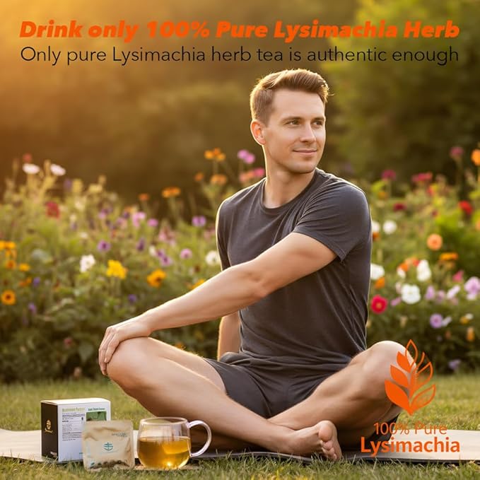 Soilmount - Lysimachia Tea - |Gold Coin Grass|Kidney Health|jinqiancao|金錢草/금전초| - Pure Herbal Tea - Natural, Organic, Non-GMO, Clean Ingredients, Caffeine Free (18 Tea Bags, Box 1)