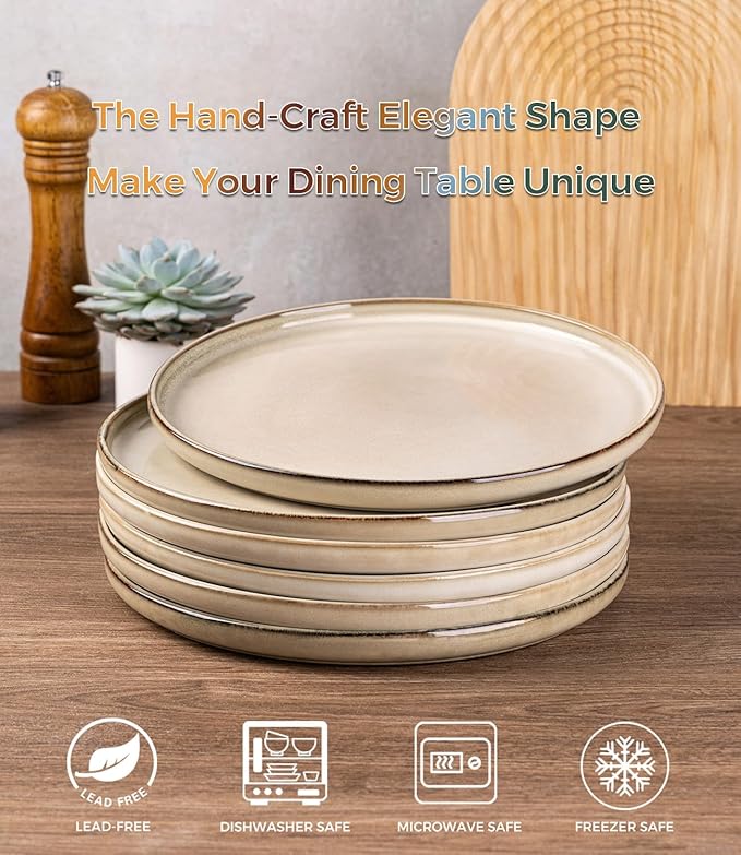 AmorArc Ceramic Plates Set of 6, 8.5 Inch Reactive Glaze Stoneware Plates set, Dessert, Salad, Appetizer, Small Dinner, Microwave, Dishwasher Safe, Scratch Resistant Dishes Set for Kitchen