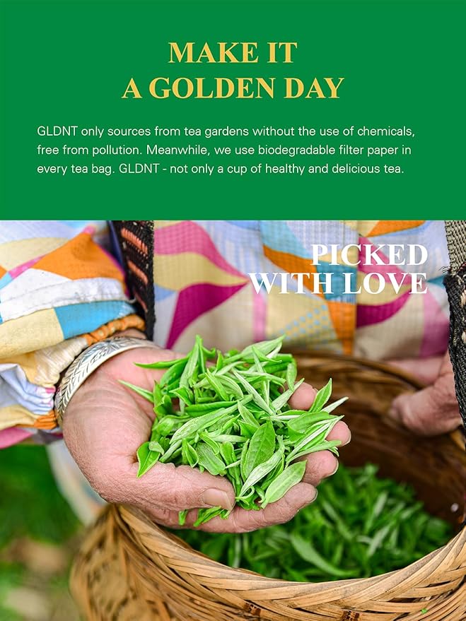 GLDNT Organic Green Tea Longjing, Premium Chinese Dragon Well Green Tea Loose Leaf, Fresh & Brisk Taste, 3.5oz/100g