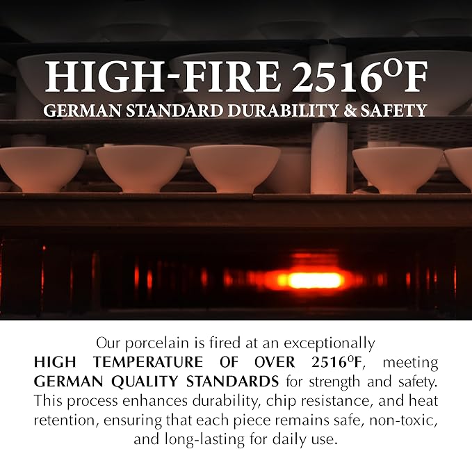 Minh Long 10.7 IN Porcelain Dinner Plates, Set of 6, Chip & Scratch Resistant, Oven Safe up to 482°F, Microwave & Dishwasher Safe, Ceramic Dinner Plates, Ideal size for Serving Steak or Main Course