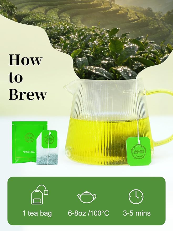 CO-OP 1950 Green Tea Bags, Caffeinated, Classic Pure Green Tea, Smooth, Refreshing & Clean, Rich in Antioxidant, Enjoy Hot or Iced, 20 Count