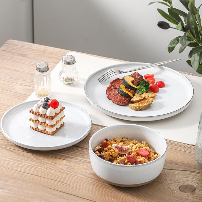 Ceramic Dinner Plates Set of 6,Stoneware 10 Inch,Microwave,Dishwasher and Oven Safe,Porcelain Dessert Plates for Pasta,Salad and Steak,Christmas Gift,Dish for Kitchen,Scratch Resistant,White