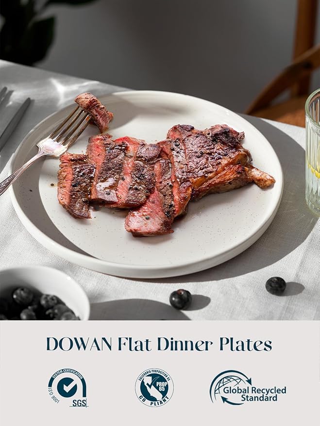 DOWAN 10.5" Large Dinner Plates Set of 6, High Edge Ceramic Plate - Microwave, Oven & Dishwasher Safe, Durable, Modern Dinnerware - Kitchen Porcelain Dish - Khaki White