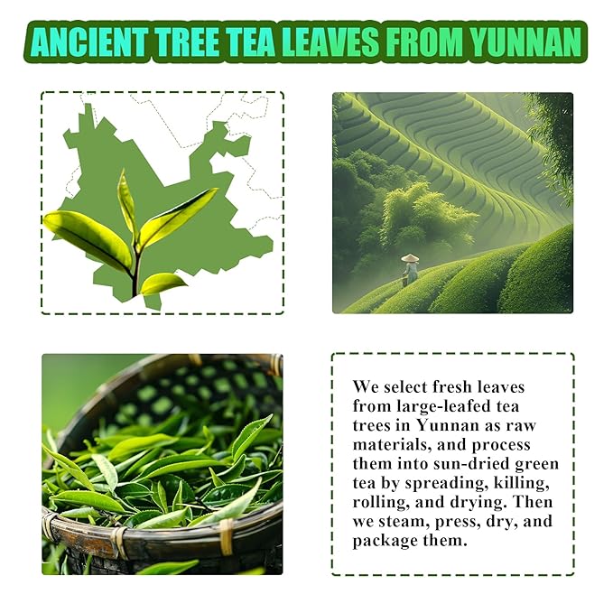 Pu-Erh Tea Bags, Organic and Aged Since 2018, Individually Wrapped 1.5g x 12 Count, Fermented Sheng (Raw) Pu-Erh Black Tea, Rich Flavor & Natural Energy, Convenient Brewing