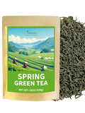 TeeLux Green Tea Loose leaf, Premium Early Spring Green Tea, Fresh & Mellow Taste, Handpicked Young Leaves & Buds, 16oz