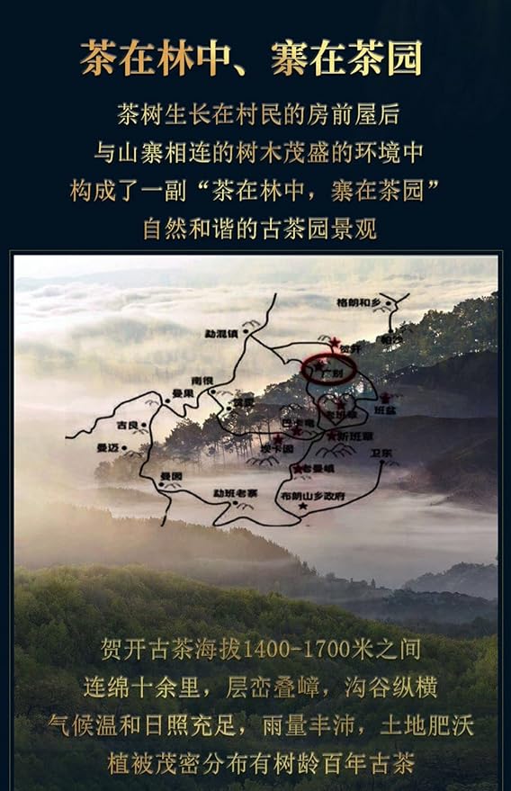 Pu-Erh tea,2020,SHENG JIA YUAN,賀開 He Kai,357g,Raw