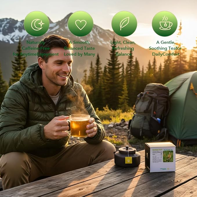 Soilmount - Pine Needle Tea - |Massoniana Tea|马尾松|Ma wei song|솔잎| - Pure Herbal Tea - Natural, Organic, Non-GMO, Clean Ingredients, Caffeine Free (18 Tea Bags, Box 1)