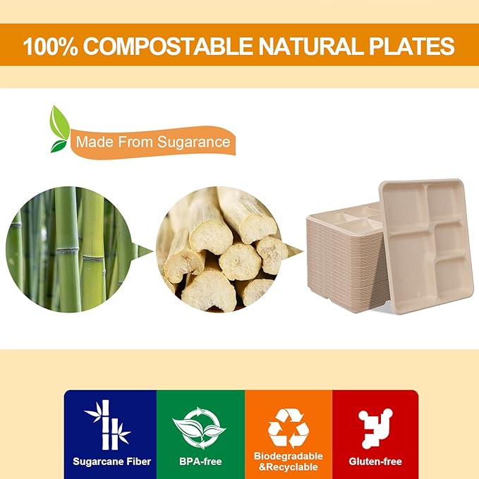 WELLIFE 125 Pack Kids Small 5-Compartment Paper Plates, 10.25x8.25 Inch 100% Compostable Divided Plates, Disposable School Lunch Trays, Eco-Friendly Bagasse Plate for Boys Girls and Youth (BPA Free)