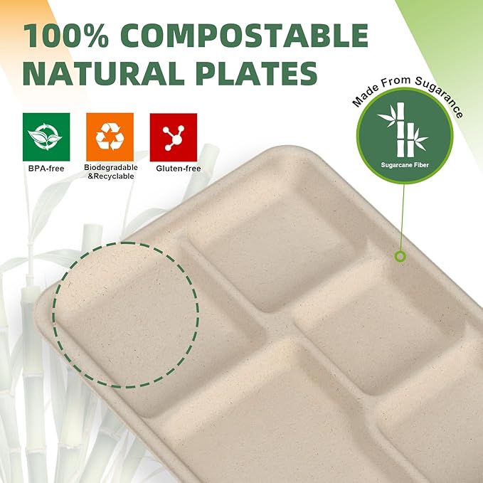 WELLIFE 125 Pack Kids Small 5-Compartment Paper Plates, 10.25x8.25 Inch 100% Compostable Divided Plates, Disposable School Lunch Trays, Eco-Friendly Bagasse Plate for Boys Girls and Youth (BPA Free)
