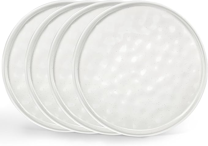 LIANYU Ceramic Plates Set for 4, 10.2In Porcelain Dinner Salad Appetizer Plates for Kitchen, Modern Round Stoneware Dining Dish Set, Scratch Resistant, Microwave, Oven and Dishwasher Safe, Polar White