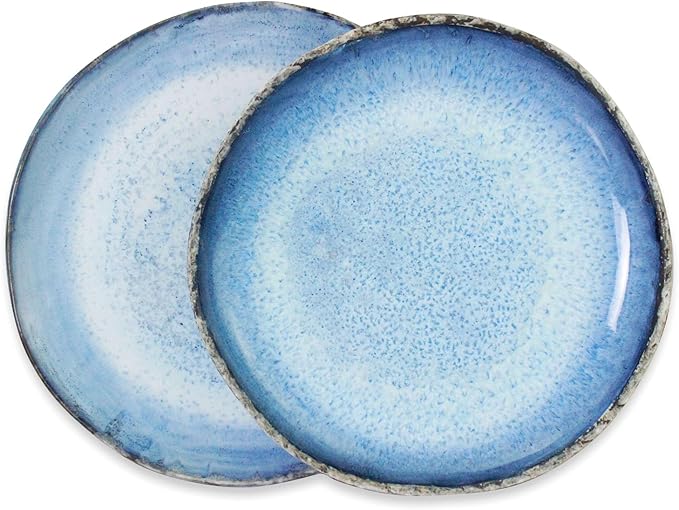 roro Rustic Coral Handmade Ceramic Stoneware Dinner Plates and Bowls, Reactive Blue Set of 2, Textured Finish (Coral, Dinner Plate)