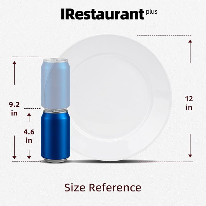 Wide Rim Bone China Commercial Grade Restaurant Plate 12", Case of 12
