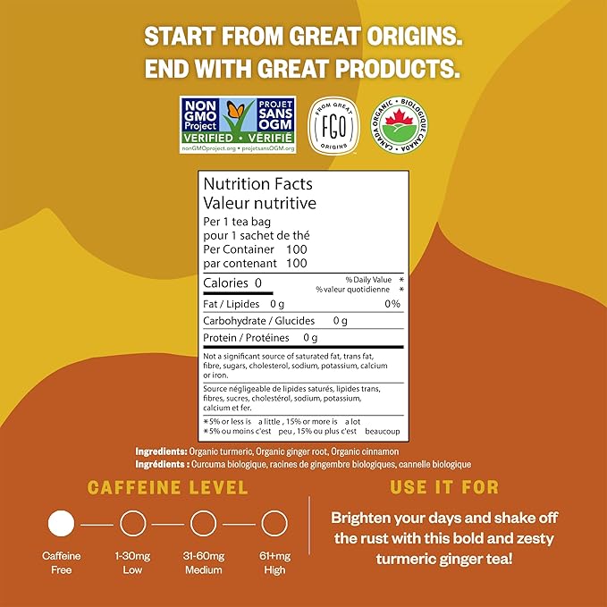 FGO Organic Turmeric Ginger Tea, Eco-Conscious Tea Bags, 100 Count, Packaging May Vary (Pack of 1)