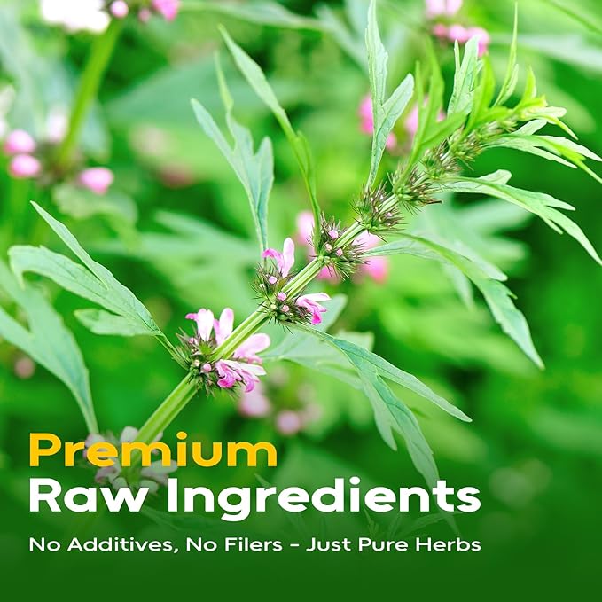 FullChea - Motherwort Tea, 40 Teabags - Premium Dried Motherwort Herb - Non-GMO - Caffeine-Free - Your Ideal Tea Break for Natural Wellness