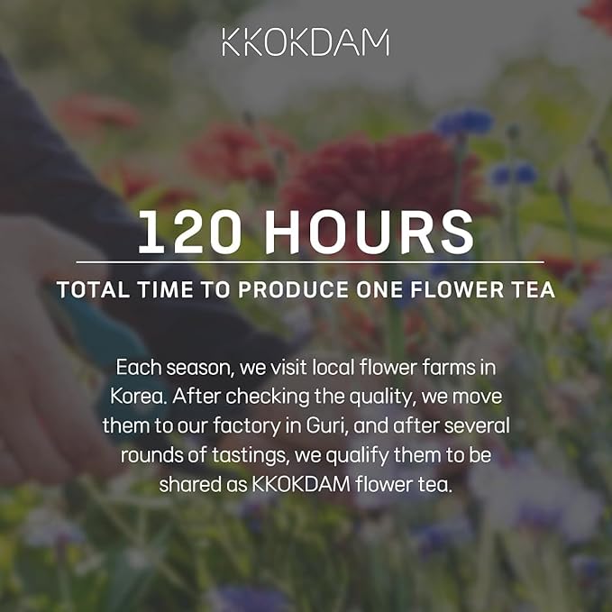 KKOKDAM Kombucha Tea - Lemon & Chrysanthemum Korean Tea - Kombucha Drinks Probiotic Support, Low Calorie, Sugar Free Drink Pack - 15 Kombucha Drink Packs